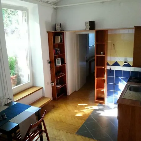Basement In Vila Vesna Apartment *